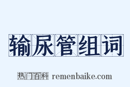 输尿管组词是什么意思的图片